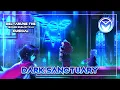 Deltarune the (not) Musical - Dark Sanctuary