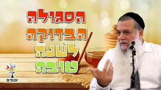 הרב יגאל כהן הסגולה הבדוקה לשנה טובה עם שפת סימנים 
