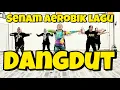 Download Lagu SENAM AEROBIK DANGDUT KOPLO TERBARU 2024