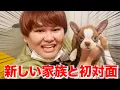 Lagu タナカガの新しい愛犬と初対面してきたwww