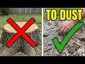 Amazing How To Turn a STUMP To DUST Just Set and Forget Badda Bing Badda Boom NO CHAINSAW