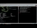 Ethical Hacking Crafting malicious ARP packet