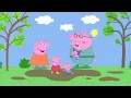 Peppa Pig Tales 📚 Peppa OPENS a School! ✏️ Teaching Baby Evie 👩‍🏫 BRAND NEW Peppa Pig Episodes