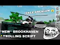 NEW Brookhaven Trolling Unlock All Gamepass Script Hack SanderX Fluxus Hydrogen Delta Arceus X