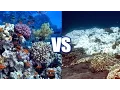 Climate Change Impact That s ALREADY Visible