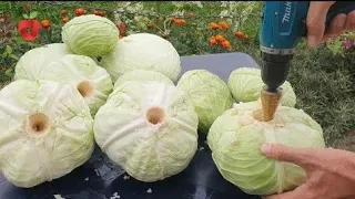Kiseli kupus - priprema na jednostavan način!