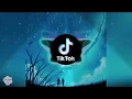 Someone You Love (TIKTOK REMIX) APENG | DJ Tiktok Dance Challenge