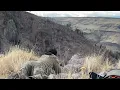 28 Nosler 715 yds