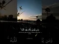 Download Lagu Quran | Surah 64:11 | @misharyrashid1357