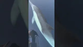 A beautiful way to depart from our boat when we sold it, sailing past Catalina island #sailing #sail