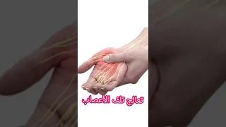 ٧ بذور تعالج تلف الأعصاب Shortfeed 