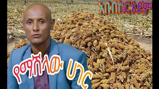 አቡበከር አደም ህላዬ የማሽላው ሀገር Abubeker Adem Music 