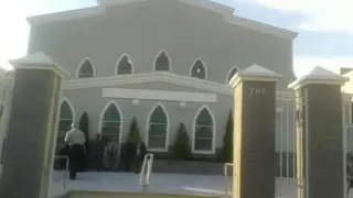                                          دندنها