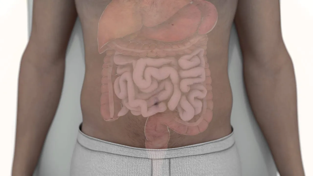 Introduction to Ultrasound Guided Procedures