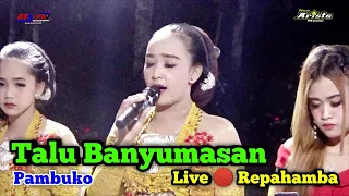 Download Talu Banyumasan || Pambuko || New Arista Music || Banjarnegara || Live 🔴 Repahamba MP3