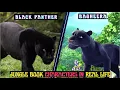 Download Lagu Jungle Book 3D Characters In Real Life PART 2 | REEL VS REAL LIFE