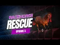 Download Lagu BETTY NEEDS OUR HELP 😔😔😔 RESCUE PROJECT UPDATE
