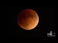 2018 Total Lunar Eclipse Timelapse Griffith Observatory