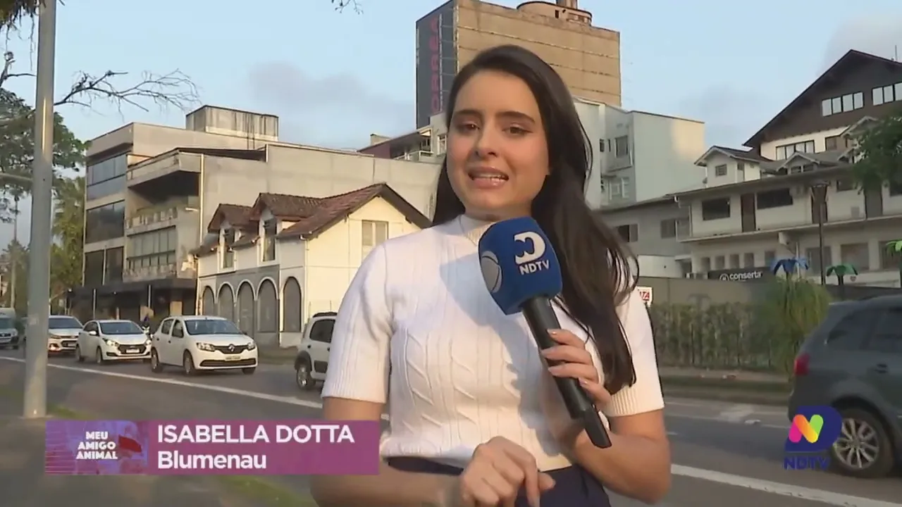 Meu Amigo Animal: mês do cachorro louco, cio das cadelas deixam os machos loucos