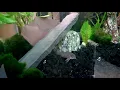 Kevin s Pet Store Birmingham - Erdington area cz 2