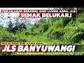 Download Lagu Dari Ujung Aspal JLS Banyuwangi‼️Menembus Semak Belukar 5,1 KM di Ruas JLS Kendenglembu - Malangsari