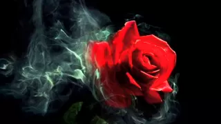 عبدالمجيد عبدالله   تشطر عاد وافهمها دندنها
