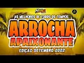 Download Lagu 🔴Set Arrocha Apaixonante😍-As Melhores Edição Setembro 2022-Dj Rodrigo Campos #melodysad #marcantes
