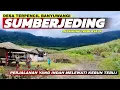 Download Lagu Desa Terpencil Banyuwangi! Menyusuri Indahnya Jalur Menuju Kampung Sumberjeding di Gunung Treblasala