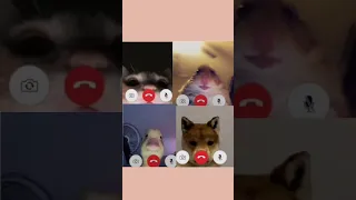 Matching best friend profile pictures