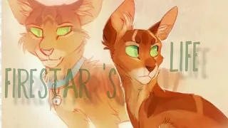Firestar 's Life - Warriors - In the name of love