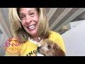 Hoda Kotb on Her New Puppy I Am so in Love With This Dog
