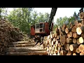 Download Lagu NH Chronicle: Tales from a NH Forester
