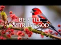 Be Still Trust God Instrumental Worship and Scriptures with Birds Christian Instrumental