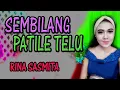 Live Dangdut Sembilang Patile Telu by Sasmita Nada | Kejobong Purbalingga