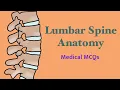 Lumbar Spine Anatomy Medical Quiz MCQs