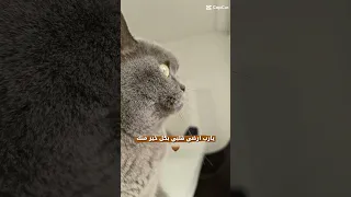 يا رب ارضي قلبي بكل خير منك 