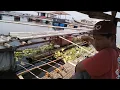 Download Lagu Mancing di spot yang di huni ikan. Bawal 👍👍.