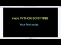 Your First Python Script In Modo adding cameras to the scene