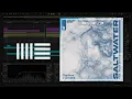 Claptone, Chicane feat. Moya Brennan - Saltwater (Ableton Remake)