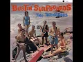 Bustin' Surfboards