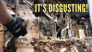 Ep 370 | Restoring Nutshell: Fixing the Rotten Cabin Floor and Painting the Hull