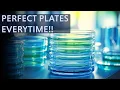 PERFECT Agar Plates Every Time with These TIPS