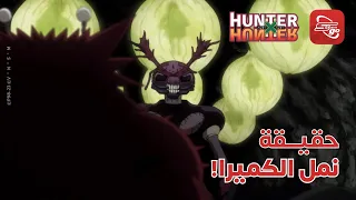 نملة بحجم الإنسان وخطر يهدد البشرية HunterXHunter 