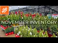 Home Depot New Arrivals Shrubs Evergreens Holiday Pots Christmas Decor Black Friday 2024