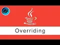 Overriding - Java Programming
