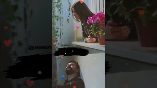 اوعديني   رامي جمال حالة واتس اب               حالات واتس  حالات واتس اب            دندنها