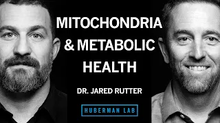 How Mitochondria Control Your Metabolism | Dr. Jared Rutter