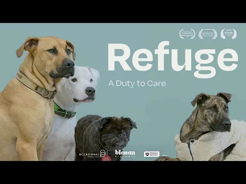 Refuge: A Duty of Care | Trailer | Available Now