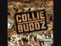 Download Lagu Collie Buddz   Come Around