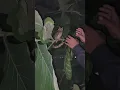 Download Lagu Menangkap burung hantu dengan tangan kosong 😱